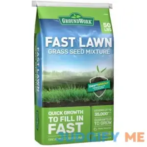 Groundwork Fast Lawn Grass Seed Mixture