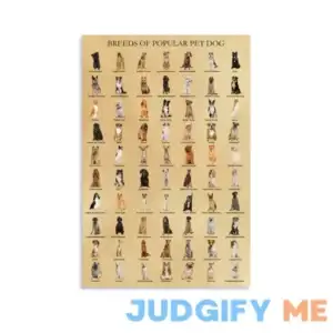 HLLNWB Breeds of Popular Pet Dog Poster Dog Lovers Animals Poster