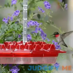 Hummingbird Feeder With BuiltIn Ant Moat - Hummingbird Feeder With BuiltIn Ant Moat | HomeDecorAndMore
