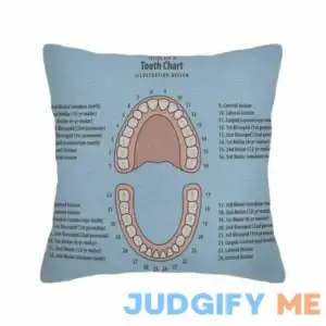 Husandy Throw Pillow Covers Pink Education Tooth Chart Number Infographic on Blue Dental Human Anatomy Pillow Case 18x18 Inch Cushion Cover for Home