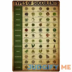 JIUFOTK Types Of Succulents Poster Metal Signs Children'S Science Knowledge Wall Decor Retro Room Decor Bedroom Printing Plaque