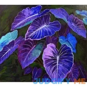 MITRAEE Fresh 100pcs Caladium Bicolor Flower Seeds for Planting Blue Mix