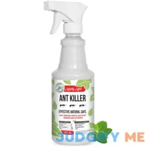 Mighty Mint Natural Peppermint Oil Ant Killer + Repellent Spray