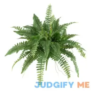 Nearly Natural Boston Fern