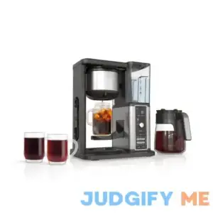 Ninja Hot & Iced XL Coffee Maker with Rapid Cold Brew