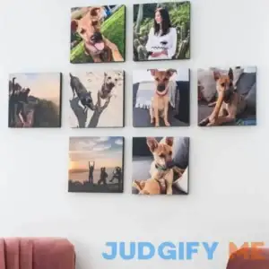 Photo Tiles- Stickable Photo Prints - Wall Photos - Picture Frames - Canvas Photo Prints - Wall Decor - Photo Gifts