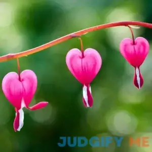 Pink Bleeding Heart Flowers 2 Bare Roots
