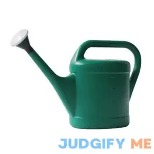 Plastic Watering Can 3L Garden Bonsai Spout for House Watering Plants 0.79 101oz Long Flower Can Water Sprinklers (Green)