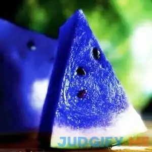 QAUZUY GARDEN 50 Rare Blue Watermelon Seeds for Planting