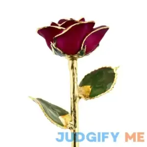 Red Wine 24kt Gold Dipped Rose - Steven Singer Jewelers - Valentine's Flower Gifts