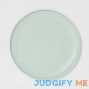 Room Essentials 10.5" Plastic Dinner Plate