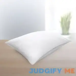 Sleep Number Pillow