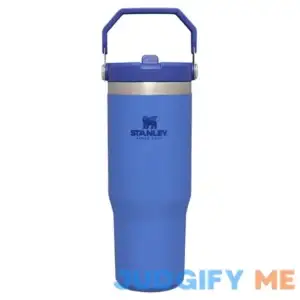 Stanley IceFlow Flip Straw Tumbler