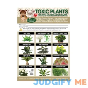 TLC Safety By Design Enhanced Toxic Plants Flowers TRADEMARKED Poison for Pets Dogs Cats Emergency Home Alone 5вЂќ x 7вЂќ Veterinarian Approved