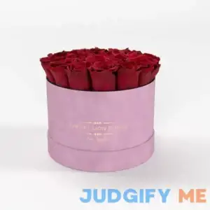 The Million Roses Basic Box Roses