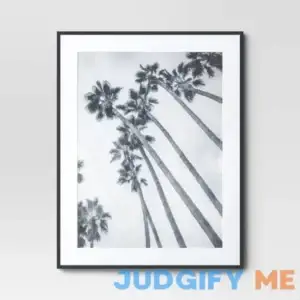 Threshold Matted 24" Elevated Aluminum Poster Frame Black