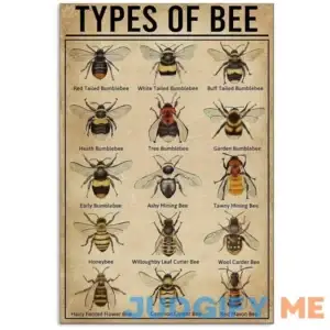 Types of Bee Retro Nostalgic Art Print Poster Tin Sign Cafe Bar Metal Sign Garage Plaque 8x12 Inches