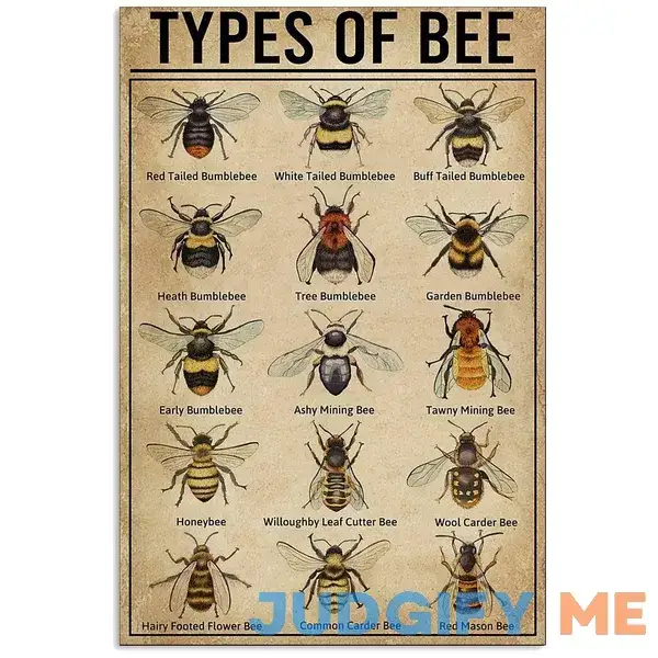 Types of Bee Retro Nostalgic Art Print Poster Tin Sign Cafe Bar Metal Sign Garage Plaque 8x12 Inches Types of Bee Retro Nostalgic Art Print Poster Tin Sign Cafe Bar Metal Sign Garage Plaque 8x12 Inches