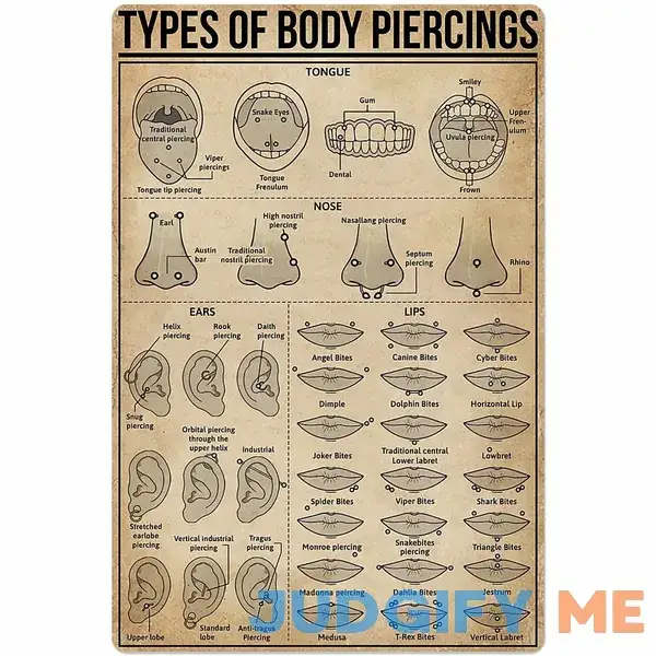 Types of Body Piercings Tin Sign Knowledge Popular Science Poster School Farm Garden Hospital Information Table Bar Garage Club Home Wall Decoration