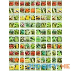 Valley Greene 100 Assorted Heirloom Vegetable Seeds 100% Non-GMO