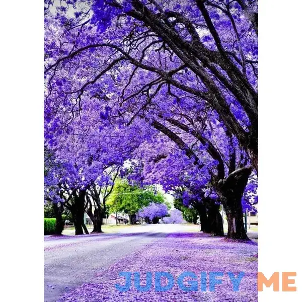 Vibrant Purple Fern Tree Vibrant Purple Fern Tree