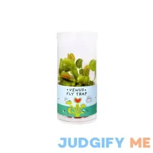 Wild Interiors Dionaea Muscipula Venus Flytrap