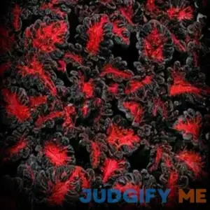 yunakesa Coleus : Black Dragon Lulu Certified Coleus Seeds 40 Fresh