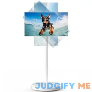 22-inch Portable TV on Wheels 1080p Portable Touch Screen Monitor