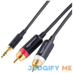 Amazon Basics 3.5mm to 2-Male RCA Adapter Cable