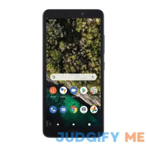 Consumer Cellular Nokia C110