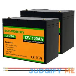 ECO-WORTHY LiFePO4 12V 100Ah Lithium Iron Phosphate Battery