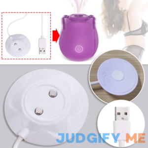 Kiplyki Wholesale Charging Cable Accessories Sexy Rose Charger Accessories