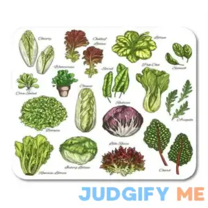 Salads and Leafy Vegetables Sketch Chicory Oakleaf Lettuce Sorrel and Pak Choi Farm Garden Spinach Mousepad Mouse Pad Mouse Mat 9x10 inch