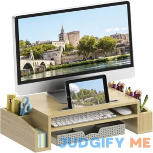 Simple Houseware Desk Monitor Stand Riser with Adjustable Organizer tray