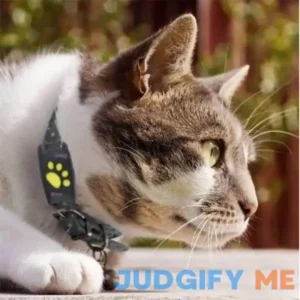 Smart Cat GPS Tracker Collar Black (with Collar)