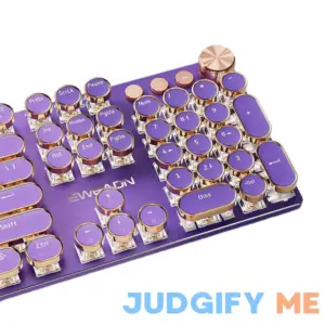 TISHLED Typewriter Style Mechanical Gaming Keyboard White LED Backlit 104-Key NKRO Pink Switches Retro Round Keycaps Golden Ring Volume Knob Metal