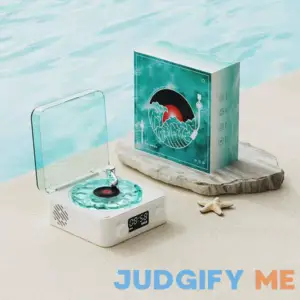 The Waves Vinyl Player
