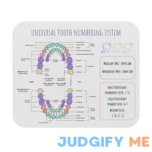 Universal and Palmer tooth number system cheat sheet Mouse Pad (Rectangle); Dental students; Dental hygienist; Dental assistant; Dentist