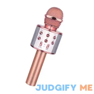 WEWQAEI Wireless Bluetooth Karaoke Microphone